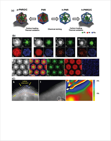Figure 1. Structural and compositional characterization of PNR nanocrystals
(a) Structural illustrations of a PNR (b)  STEM, and EDS elemental mapping images
(C) Lattice deformation mapping in PNR by geometric phase analysis.