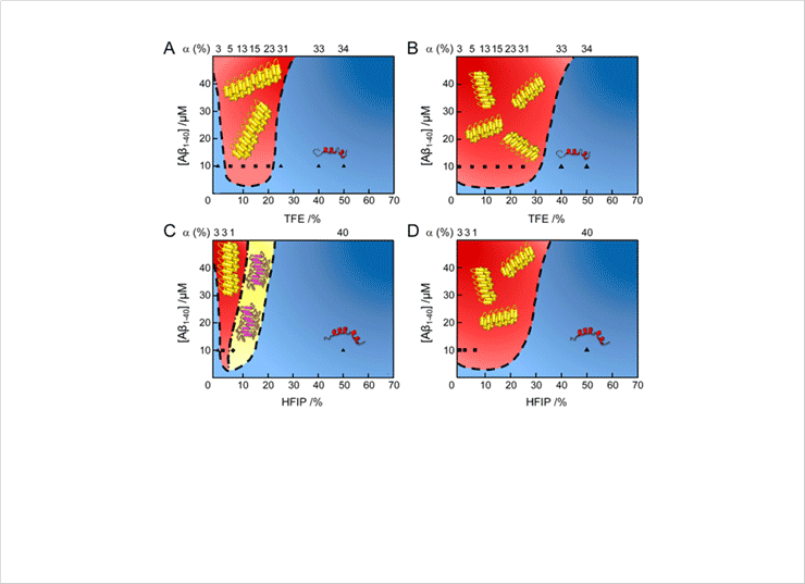 Figure 1. Macroscopic phase diagrams of Aβ1-40 aggregation in water/alcohol mixtures. (A-D) Phase diagrams of Aβ1-40 in the (A and C) absence and (B and D) presence of sonication. Cartoons of helical monomers, amyloid fibrils, and protofibrils are illustrated. Colors and symbols represent molecular species: (blue region) soluble monomers; (red region) mature amyloid fibrils; (yellow region) protofibrils. Each symbol indicates the concentration of Aβ1-40 and alcohol used. The α-helical contents of the initial states of Aβ1-40 before aggregation, are displayed at the top of the phase diagrams. Aβ1-40 aggregation in the presence of 100 mM NaCl at pH 7.5 with (A and B) TFE and (C and D) HFIP.