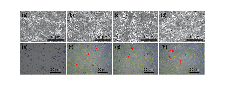 [Fig. 3] SEM images of (a) the free epoxy resin and its composites with 40wt% fillers of (b) BN, (c) S-BN, and (d) B-BN. Optical microscope images of (e) the free epoxy resin and its composites with 40wt% fillers of (f) BN, (g) S-BN, and (h) B-BN. Arrow indicates some filler in epoxy matrix. 