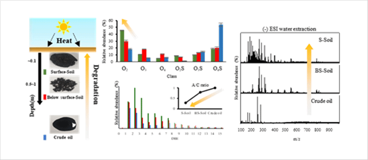 Molecular-Level Investigation of Soils Contaminated by Oil Spilled during the Gulf War 