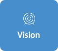 Vision