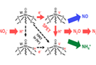 Selective Electroncatalytic Reduction of Nitrite to Dinitrogen Based on Decoupled Proton-Electron Transfer