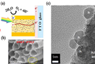 Effective charge separation in site-isolated Pt-nanodot deposited 
PbTiO3 nanotube arrays for enhanced photoelectrochemical water splitting.