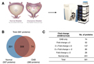 Proteomic Analysis of Urothelium of Rats with Detrusor Overactivity Induced by Bladder Outlet Obstruction 