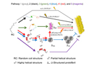 PDiverse structural conversion and aggregation pathways of Alzheimerʼs amyloid-β (1-40)
