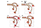 Schwann cells guide nerve regeneration through a detour route following peripheral nerve injuries