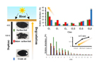 Molecular-Level Investigation of Soils Contaminated by Oil Spilled during the Gulf War