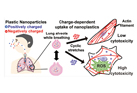 Label-Free tomographic imaging of cellular morphology after uptake of polystyrene nanoparticles