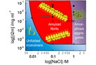 Key Physicochemical and Biological Factors of the Phase Behavior of Tau