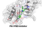 Discovery of a small-molecular anticancer agent by inhibition of Polo-like kinase1