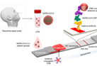 Development of rapid diagnosis test for COVID-19