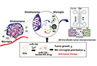 Observation of gliblastoma and microglia interaction and drug testing using 3D microfluidic cell culture platform