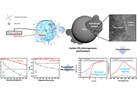 In vivo monitoring of fine dust models using fluorescent particles