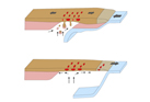 Zircon documents the onset of Cretaceous magmatism on the Korean Peninsula