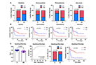 Discovery of Metabolites Predicting the response of Immunotherapy in Non-Small Cell Lung Cancer Patients