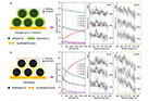 Longer-Lasting and More Efficient Lithium Batteries with a Conductive Protective Layer