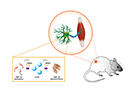 Nano-Material-Based Therapeutic Strategy to Inhibit ALS-Causing Protein Aggregation