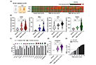 Development of technology for early prediction of triple-negative breast cancer recurrence through blood extracellular vesicle proteomics analysis