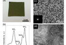 Centimeter-Scale 2D van der Waals Vertical Heterostructures Integrated on Deformable Substrates
Enabled by Gold Sacrificial Layer-Assisted Growth