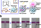 On-Chip Lipid Extraction Using Superabsorbent Polymers for Mass Spectrometry