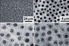 Adhesive organic network films with a holey microstructure: useful platforms for the engineering of flexible energy devices 