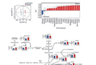 Investigation of the survival mechanisms by regulating metabolism in metastatic cancer cells
