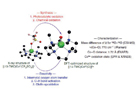 Synthesis and Structural Analysis of Co(IV)-oxo Complex