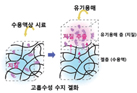 Development of microfluidic chip platform for lipid extraction using superabsorbent polymers