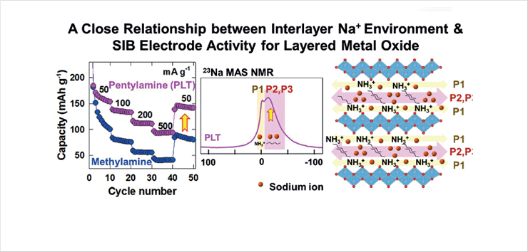 Superior capacities of Na batteries with titanate intercalated with n-pentyl amine (left) were explained with 23Na solid-state NMR spectra (middle) revealing Na ion
sites in the electrodes (right) corresponding synthetic peptide analysis.