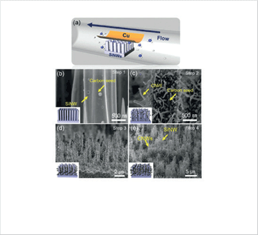 Picture of before/after MoS2 growth and Raman mapping result