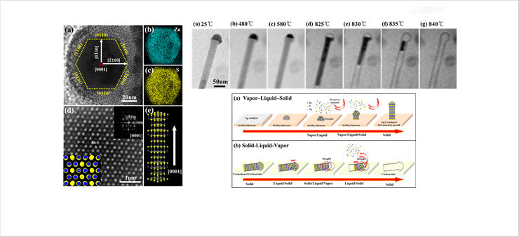 HR-STEM, In situ heating TEM and schematic diagram of Ag<sub>2</sub>S catalyzed ZnS nanowire  