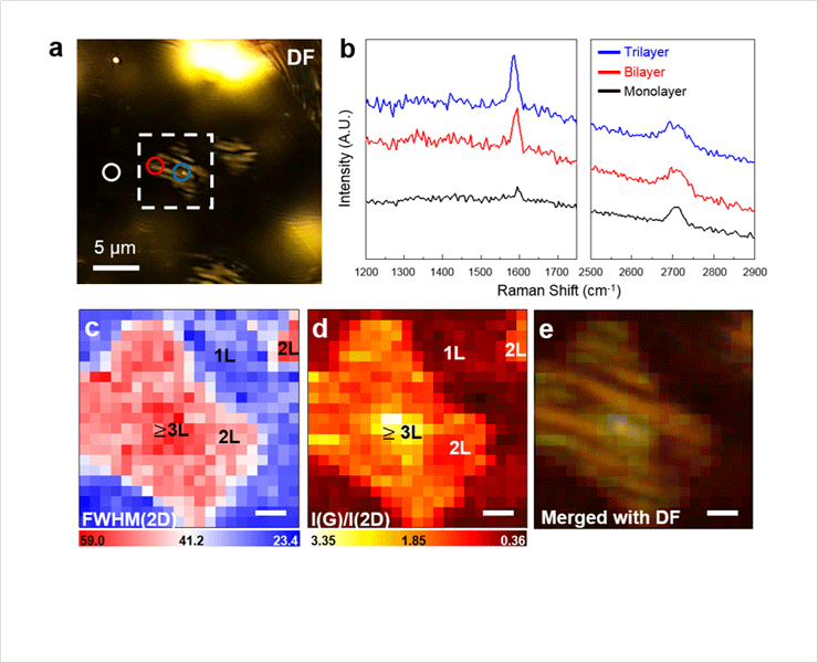 Optical microscope image and Raman spectroscopy results of the graphene on the reconstructed Cu surface. (a) optical microscope image, (b) Raman spectra,  spatially resolved Raman mapping plotted with (c) FWHM(2D) and (d) intensity ratio I(G)/I(2D), (e) Dark field optical microscope image overlapped with (d). 