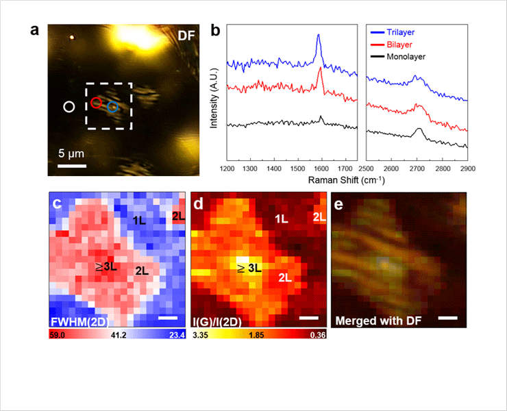 그래핀 합성시 형성되는 나노주름의 (a) 광학현미경 영상, (b) 라만(Raman) 스펙트럼, (c) 2D 신호선폭 이미징 결과 (d) G신호 크기/2D신호 크기에 대한 라만 이미징 결과. (e) 광학현미경 영상과 라만 이미징 결과를 겹친 영상.  
