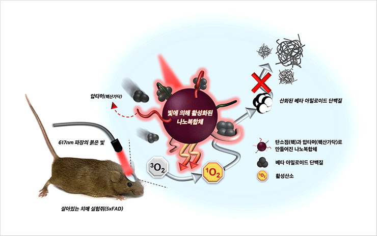 빛에 의해 활성화된 나노복합체