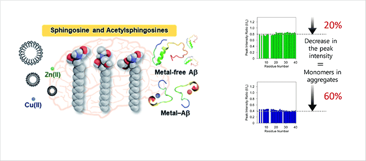 AD-causing Aβ aggregation mechanism by sphingosine(left) / NMR-based new assay(right)