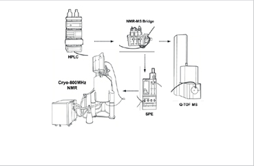 LC-SPE-NMR/MS hyphenated system을 활용한 천연물 혼합물 구조 확인 이미지