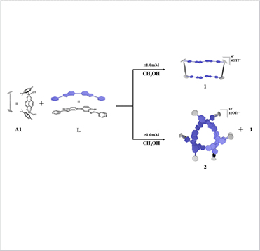 용매 조건에 따른 Macrocycle 및 Closed Three-Link Chain의 자체 조립 모식도