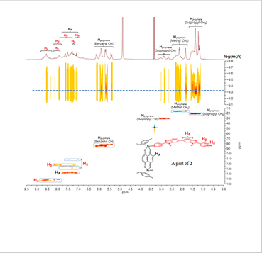 900 MHz NMR에서 측정한 DOSY 및 1H−13C HSQC NMR spectra 이미지