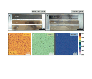 라만분광기를 활용한 대면적 MoS2 성장 확인 및 분석 이미지