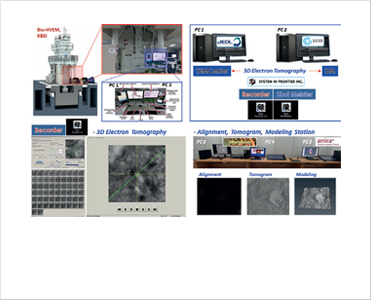 전자토모그래피 기반 두꺼운 (>1㎛) 생체-나노 재료의 3차원 미세구조 분석 이미지