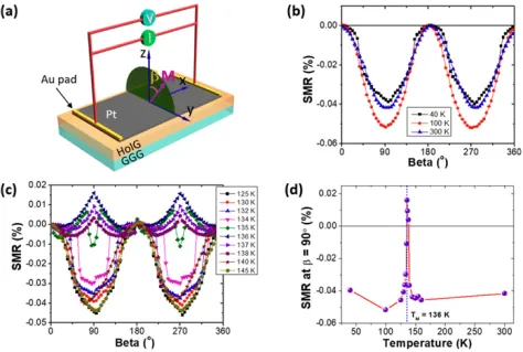 희토류철가넷(REIG)의 스핀 홀 자기저항 연구