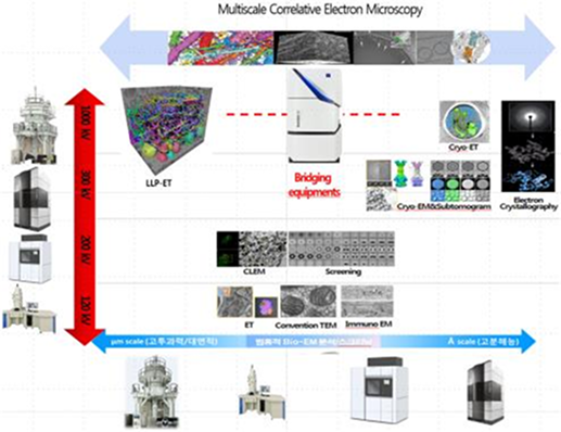 Multimodal Analysis System Based on Bio-EM Equipment Integration