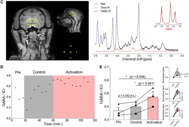 영장류 대상 비만의 부적응적 섭식 행동과 관련한 화학 유전학적 활성화