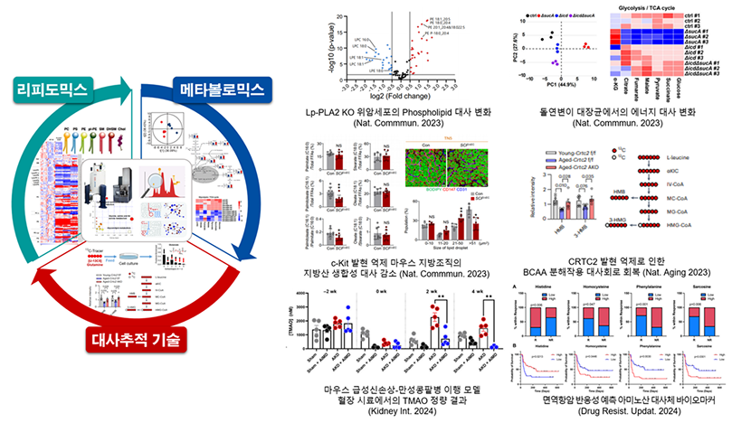대사제어 신기술을 활용하여 난치성/만성 질환의 발생 기전과 치료 연구 수행