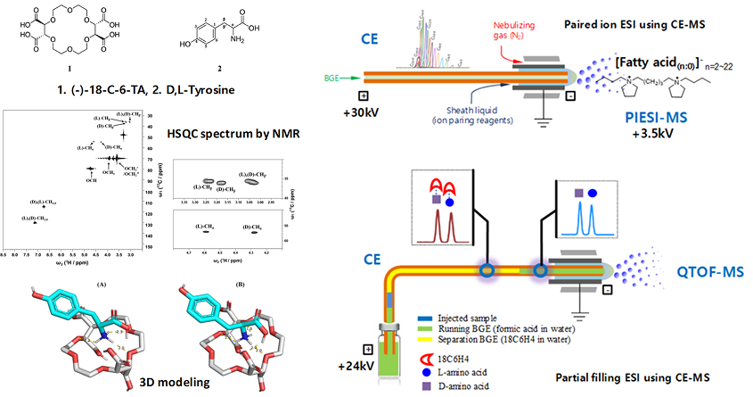 NMR, LC-MS 와 CE-MS 분석기술을 활용한 카이랄 아미노산의 상호작용 연구