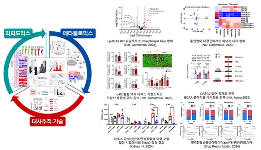 대사제어 신기술을 활용하여 난치성·만성 질환의 발생 기전 규명과 치료 전략 개발 연구 수행