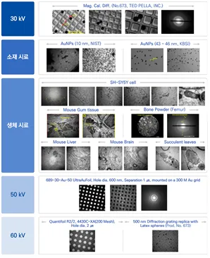투과전자현미경 이미징