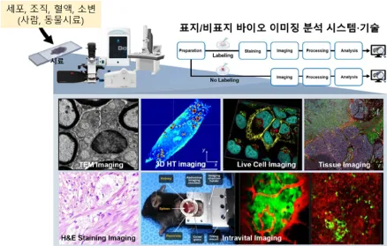 바이오이미징 기술 기반 생체신호분석