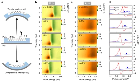 신규 분광분석 기술 개발을 위한 전자거동 비등방성 규명
