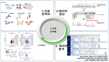 단백체 품질선도센터의 수식화 단백체 연구지원